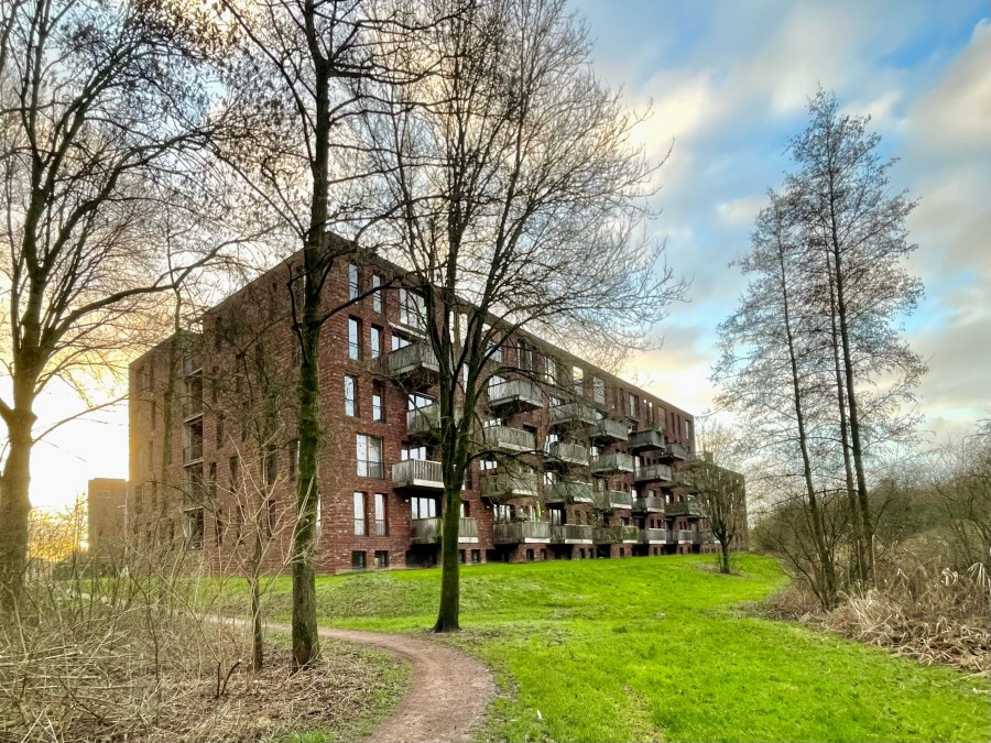 apartments for rent on Nachtschade