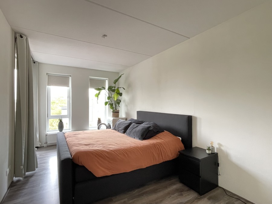 korianderstraat 01