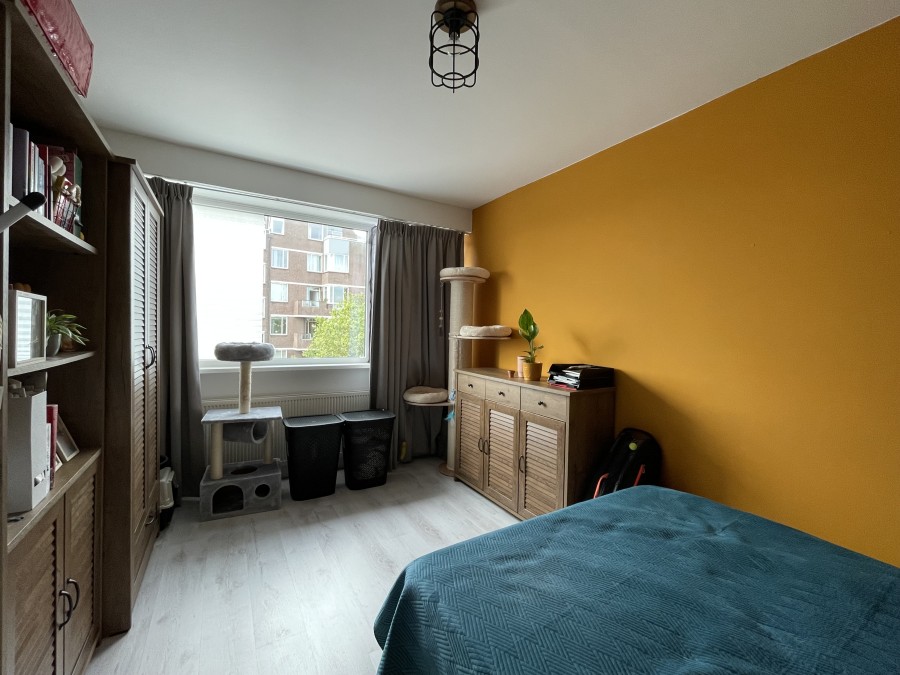 korianderstraat 01