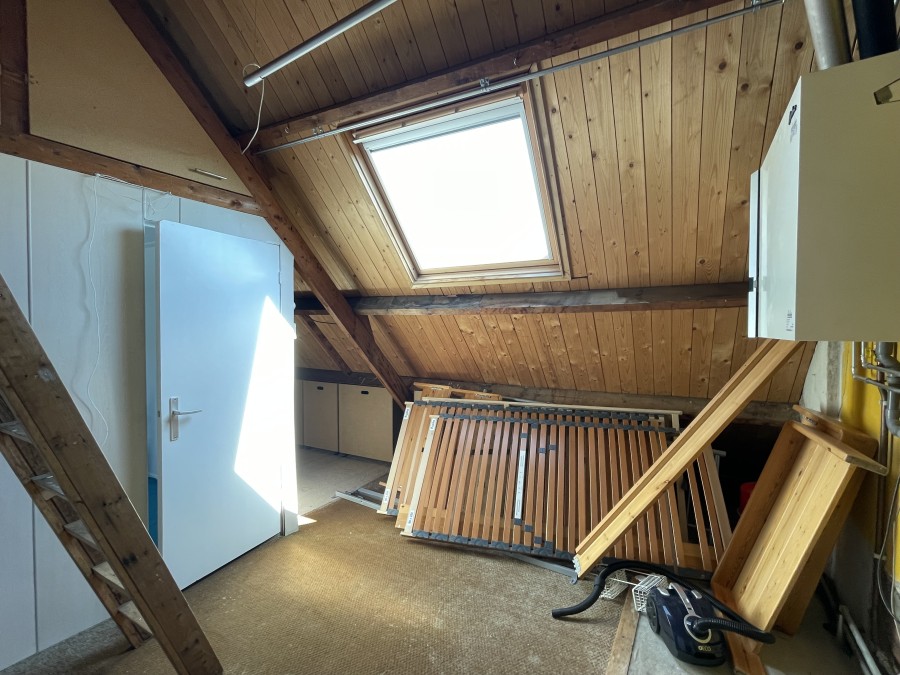 korianderstraat 01