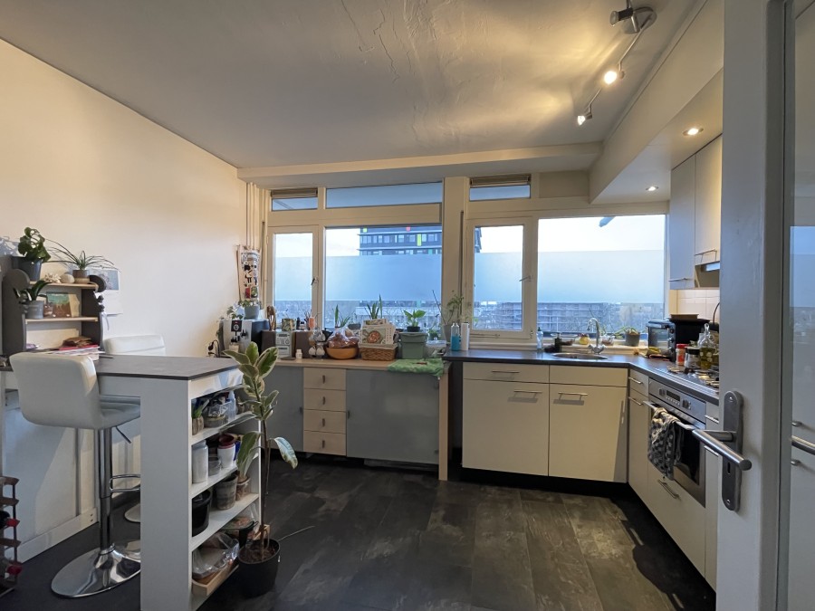 korianderstraat 01