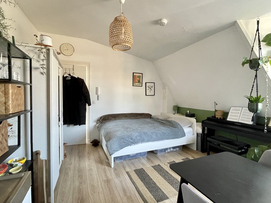 korianderstraat 01