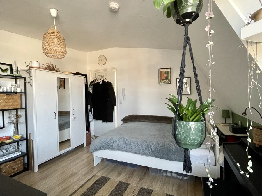 korianderstraat 01