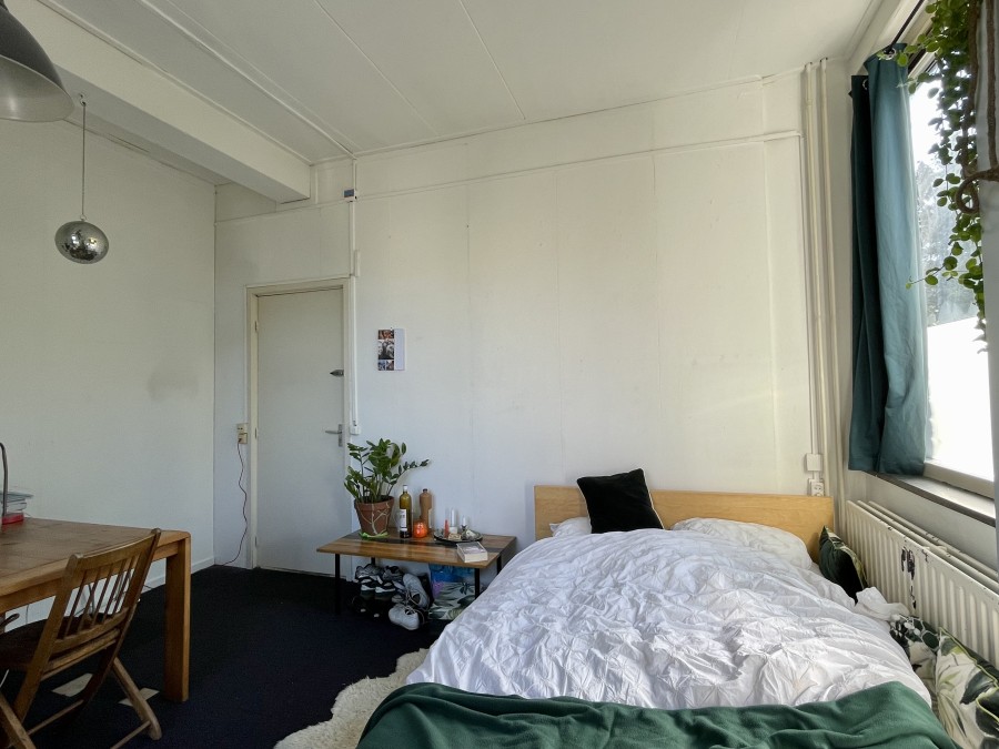 korianderstraat 01