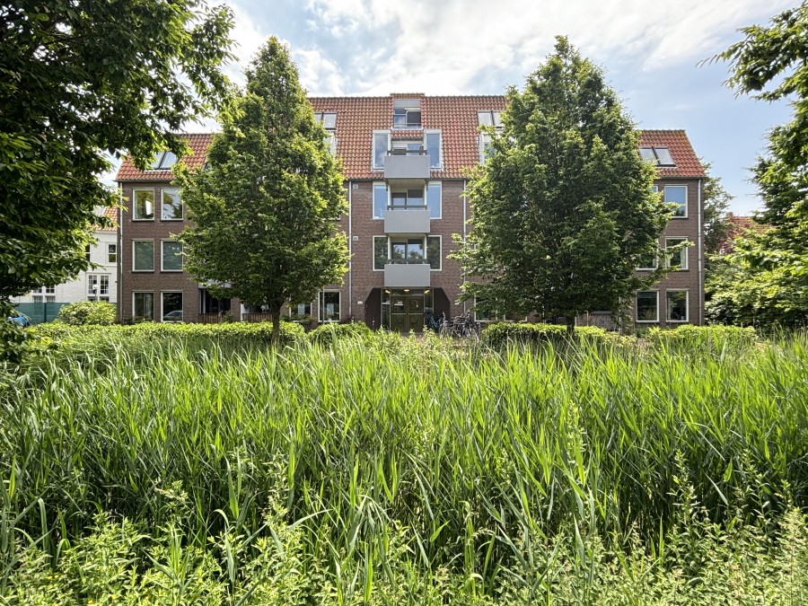 korianderstraat 01