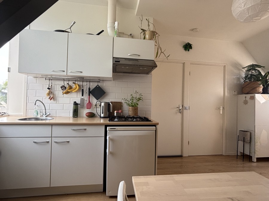 korianderstraat 01