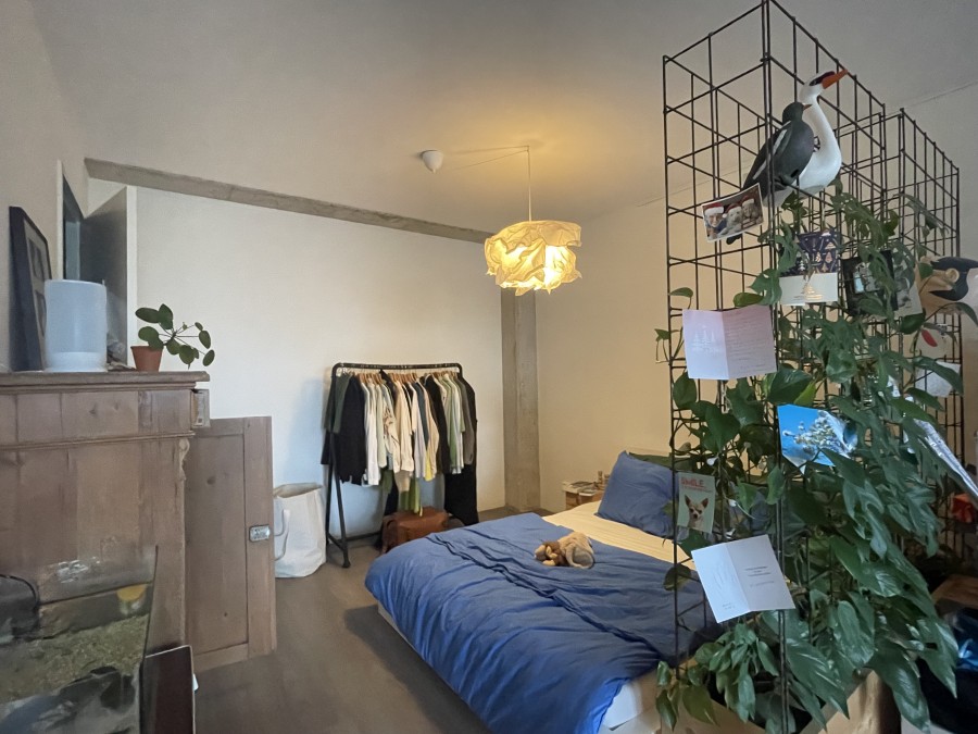 korianderstraat 01