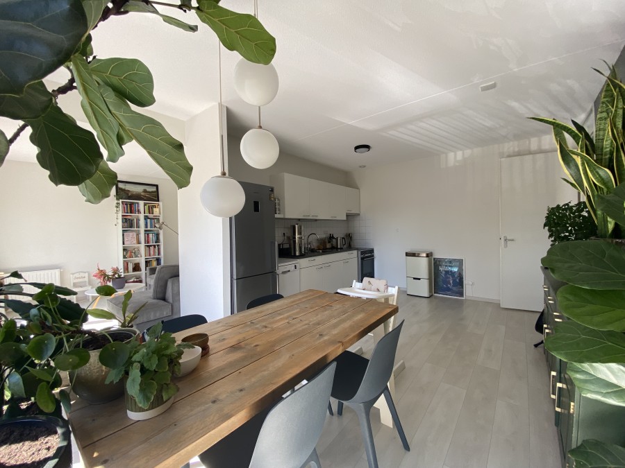 korianderstraat 01