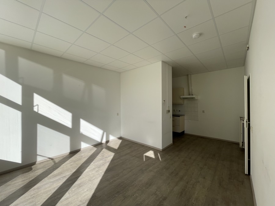 korianderstraat 01