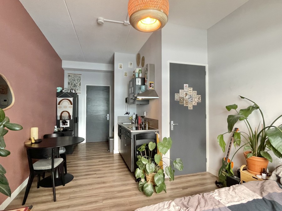 korianderstraat 01
