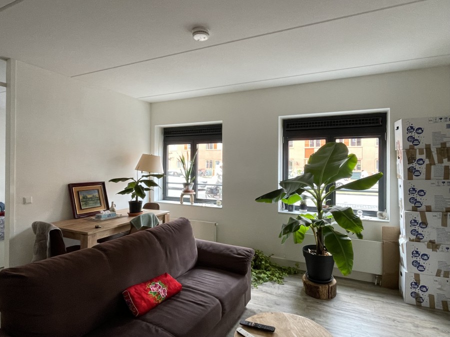 korianderstraat 01
