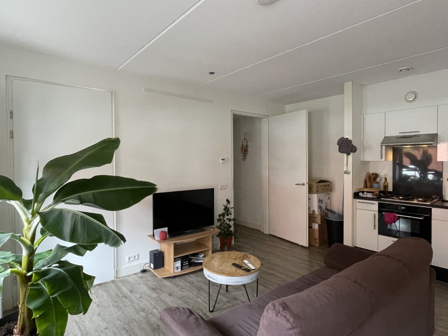 korianderstraat 01